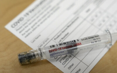 Health officials from 10 Northeast states officially band together. New Hampshire remains out.