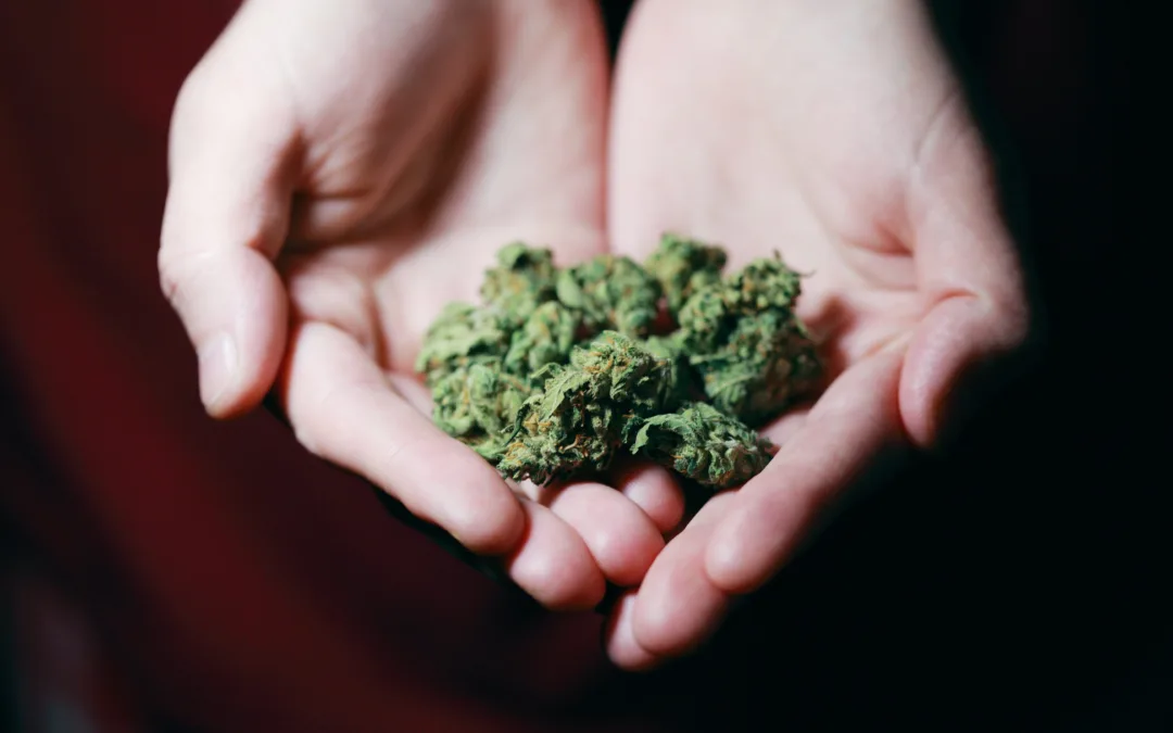 Recreational weed isn’t legal in New Hampshire – yet.