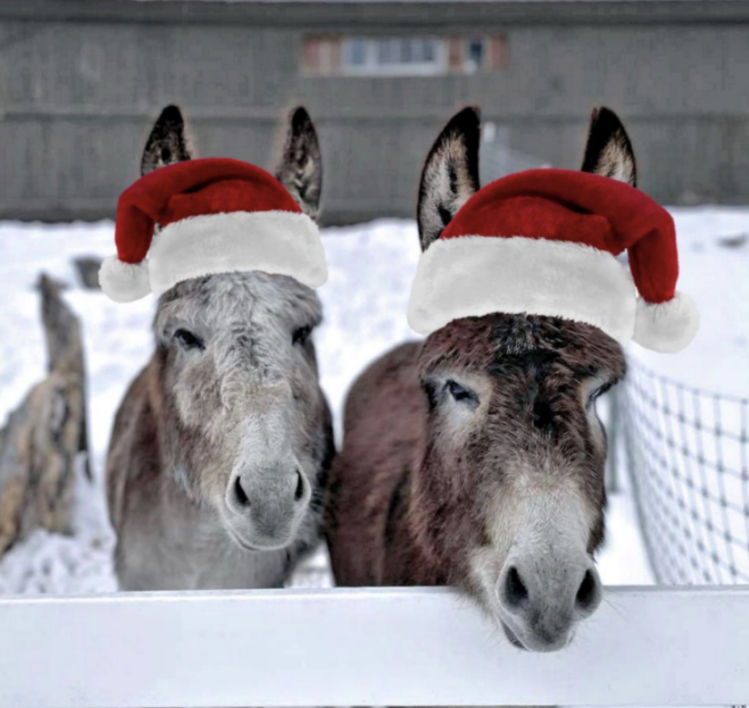 New Hampshire’s top 13 events this weekend (Dec. 15-18) New Hampshire’s top 13 events this weekend (Dec. 15-18)