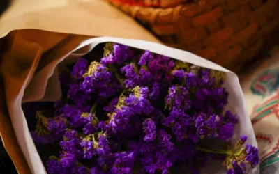 Locally-owned organic markets in Manchester, NH