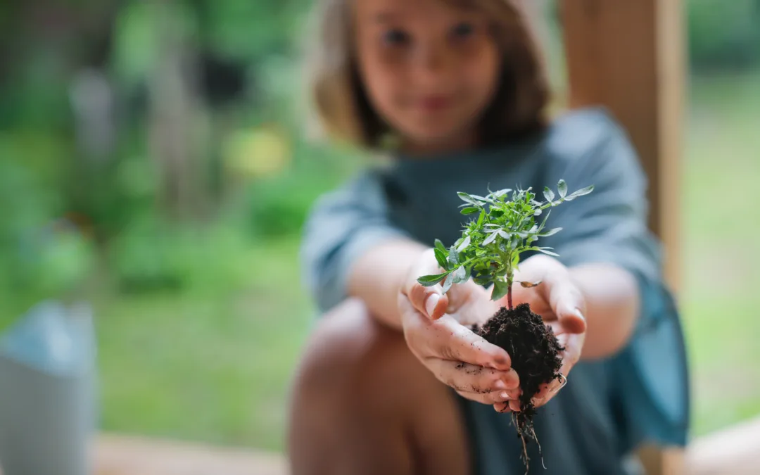 Top events in NH this weekend