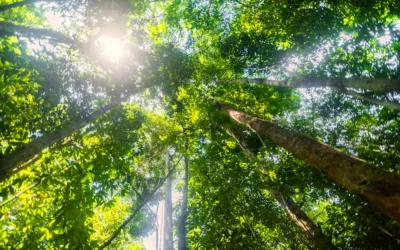 How to check your air and water quality in NH