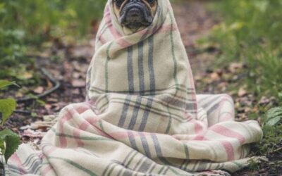 We asked, you answered: Do you believe the Exeter UFO story?