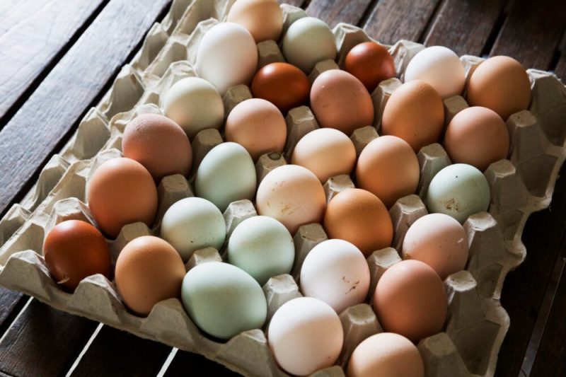 Eggs (Via Getty Images)
