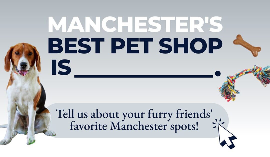 The best pet stores in Manchester, according to our readers