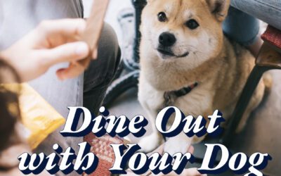 5 dog-friendly NH restaurants