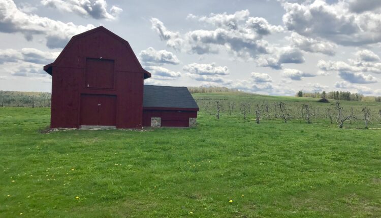 Head to Hollis for the perfect fall day