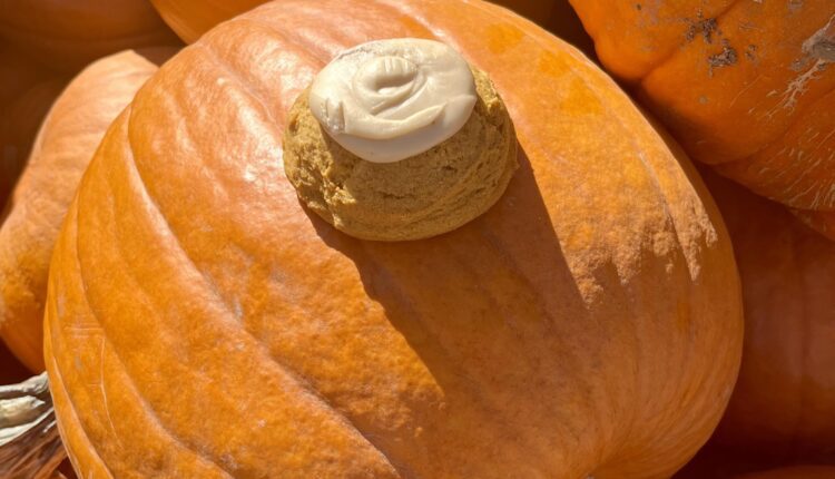 16 places to get unique pumpkin treats in New Hampshire