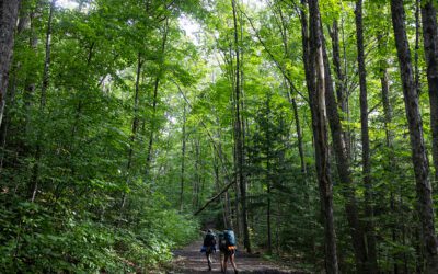 We asked, you answered: Should hikers have to pay a rescue fee?