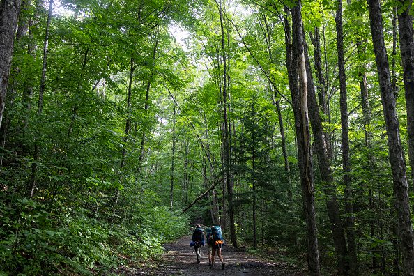 We asked, you answered: Should hikers have to pay a rescue fee?