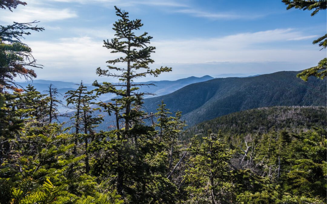 Highest-rated free things to do in New Hampshire by visitors