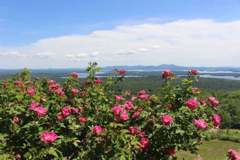 The 10 most gorgeous public gardens in New Hampshire