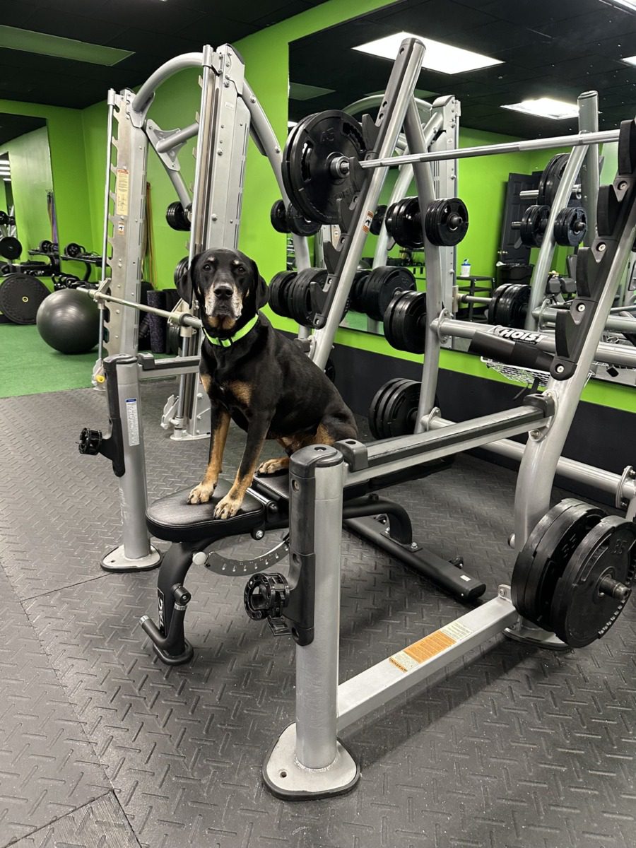 North Country fitness: 5 local gyms redefining wellness and community in 2025