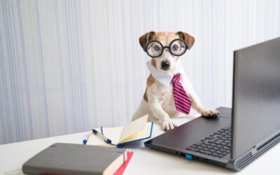 If your dog had a job, what would it be? Readers share their pup professions