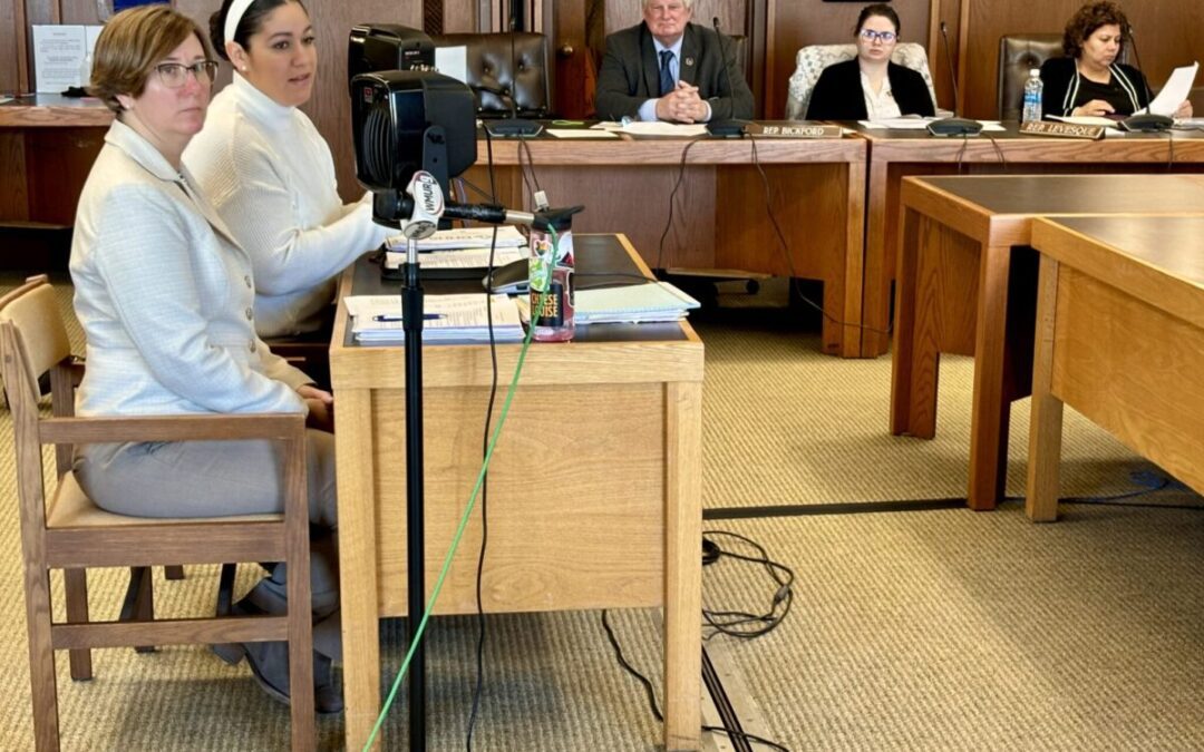 For New Hampshire’s child advocate, budget cut means smaller team and bigger worries