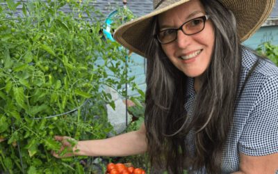 2 New Hampshire city dwellers embracing backyard food independence