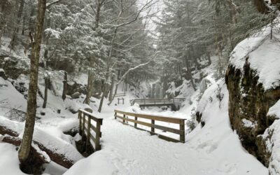 Brace yourself: Farmers’ Almanac says early snow is likely in NH