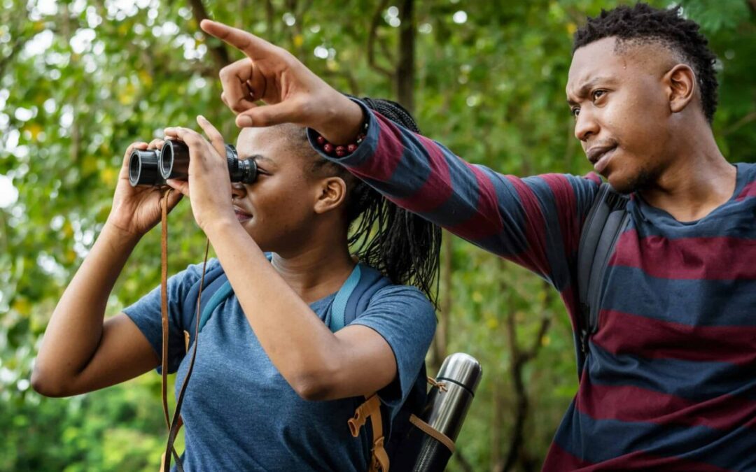Birdwatching in New Hampshire: Everything you need to know