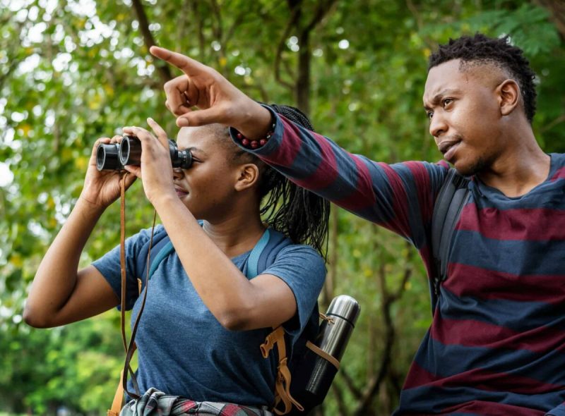 New Hampshire is one of the best places to spot elusive and rare birds.