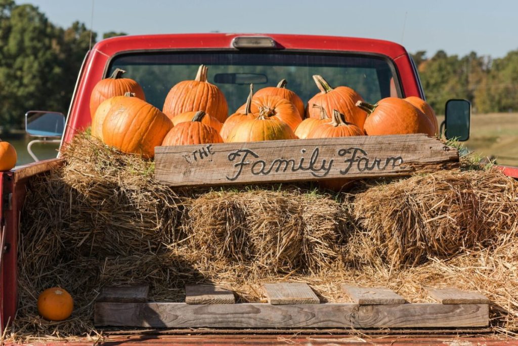 9 hayrides to kickoff your NH fall fun