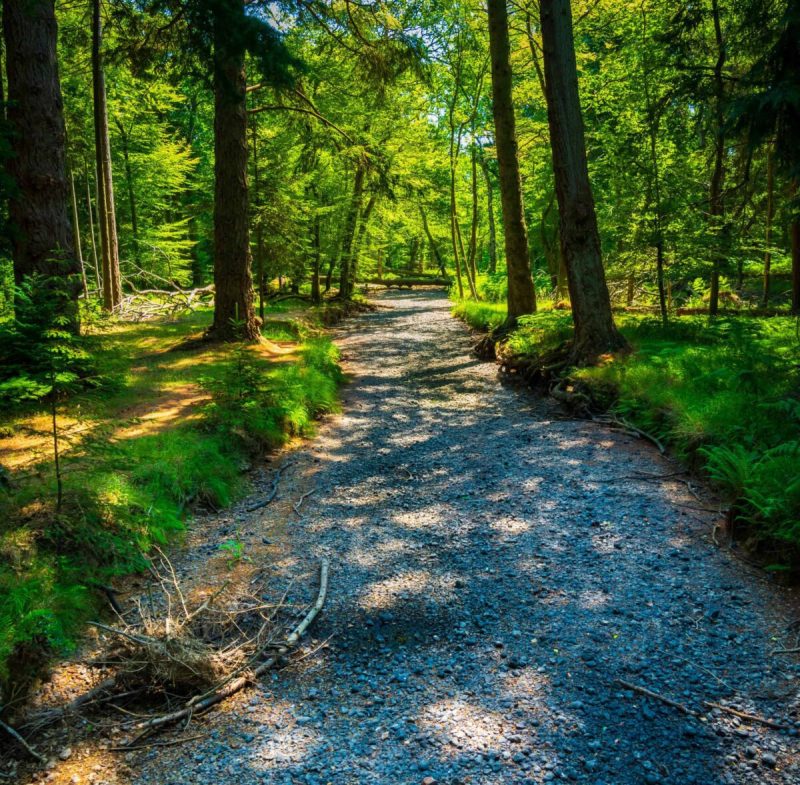 nh's drought is negatively impacting the entire state