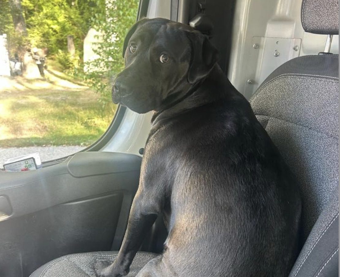 Oil truck driver saves dog in Rochester fire: ‘What a courageous act’ Oil truck driver saves dog in Rochester fire: ‘What a courageous act’