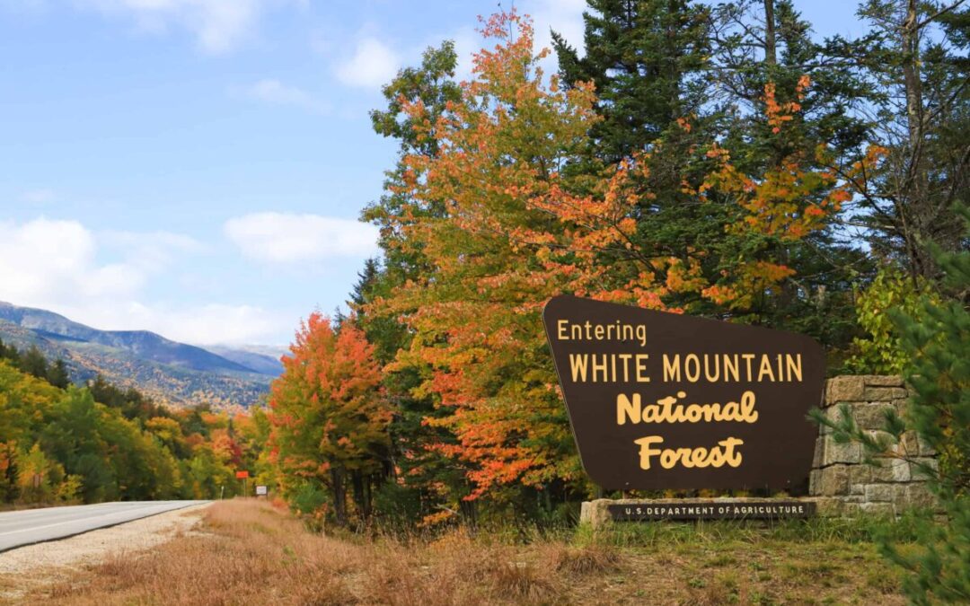 Ultimate guide to White Mountain National Forest in the fall