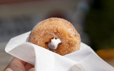 Where to find delectable apple cider donuts in NH this fall