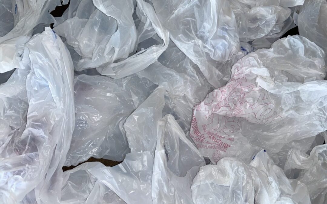 Plastic bag ban effort stalls in New Hampshire on party line