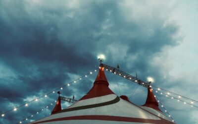 5 events for your weekend calendar in NH