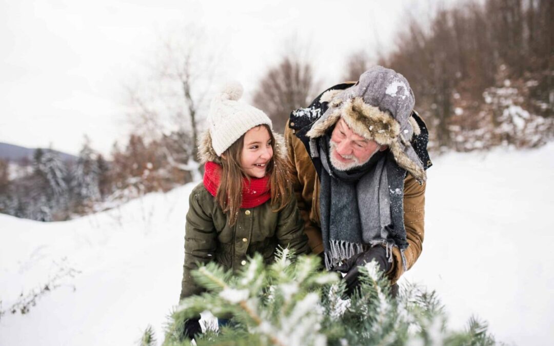 14 best cut-your-own tree farms in New Hampshire