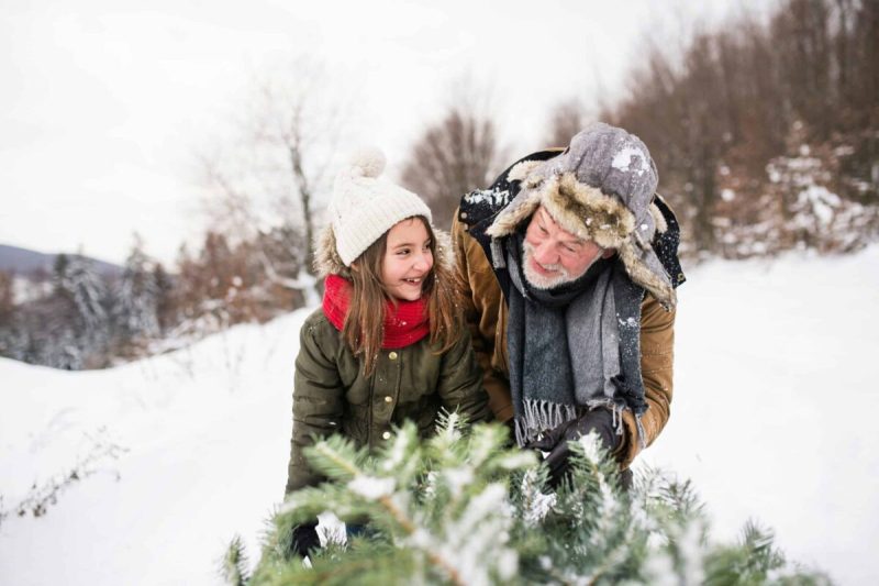 Whether you want a tiny tree for your front porch or a towering showstopper for your living room, you’ll have no problem finding the perfect holiday tree at one of these Granite State tree farms.