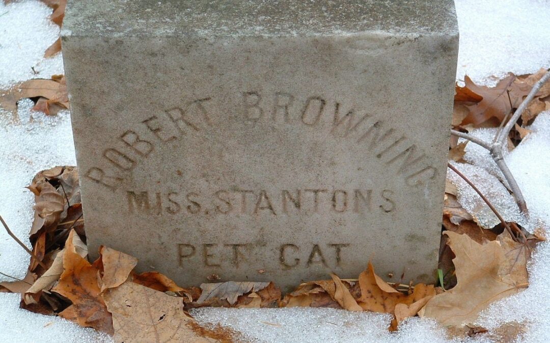 Meet Robert Browning, the cat buried in one of Hampton’s old cemeteries