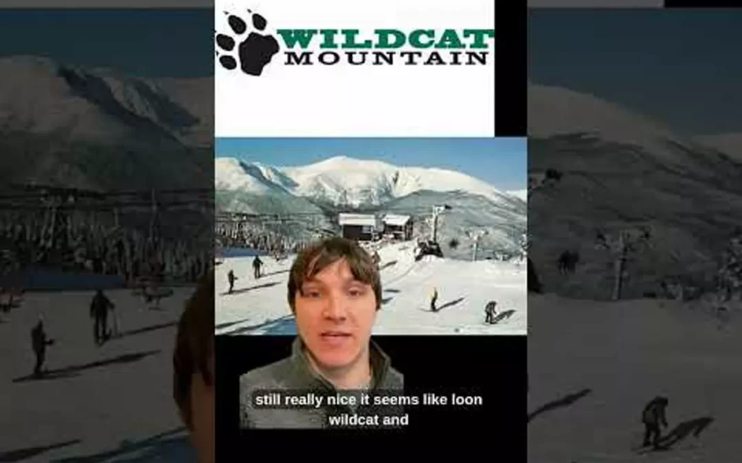 WATCH: Winter storms leave NH with so much snow!