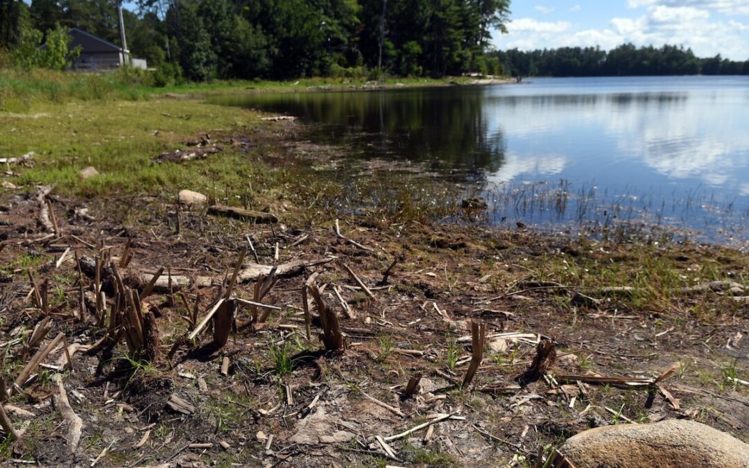 NH raises red flags on Dover’s Willand Pond milfoil removal plan