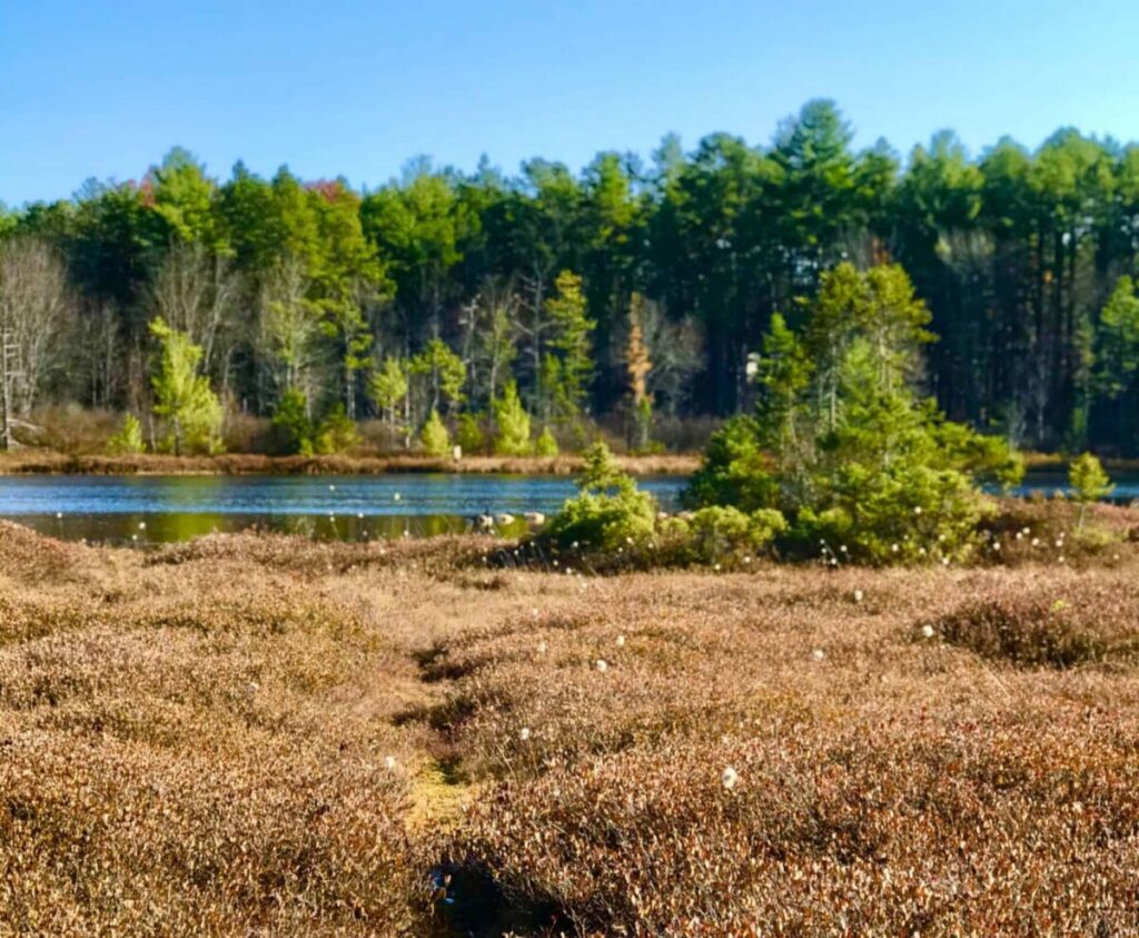 New Hampshire is known for its natural beauty, but it’s got so much more to offer.