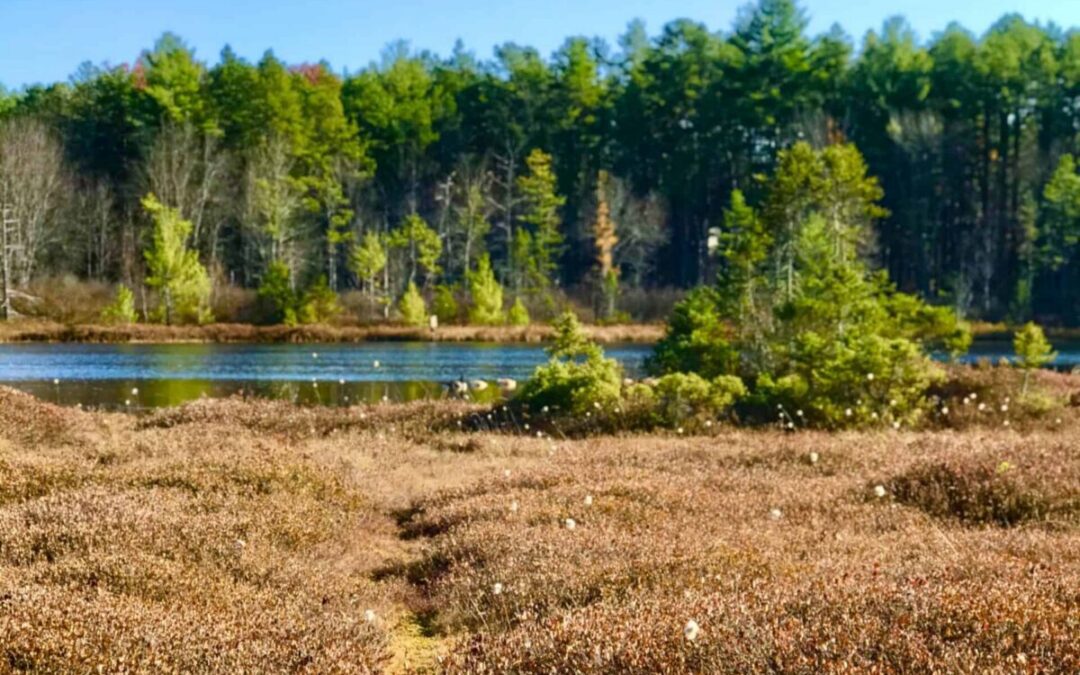 6 places in New Hampshire that feel like a portal to another world