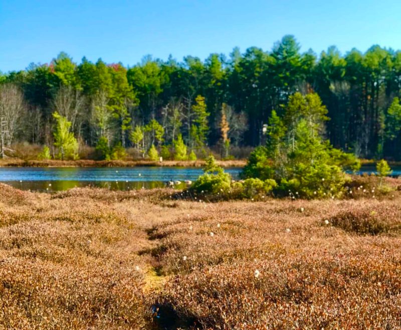 New Hampshire is known for its natural beauty, but it’s got so much more to offer.