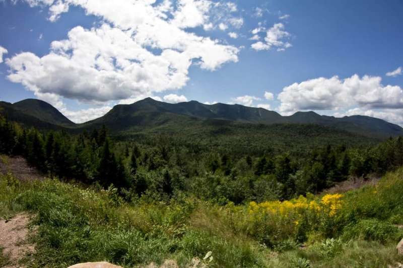 A forested site for dispersed camping in New Hampshire