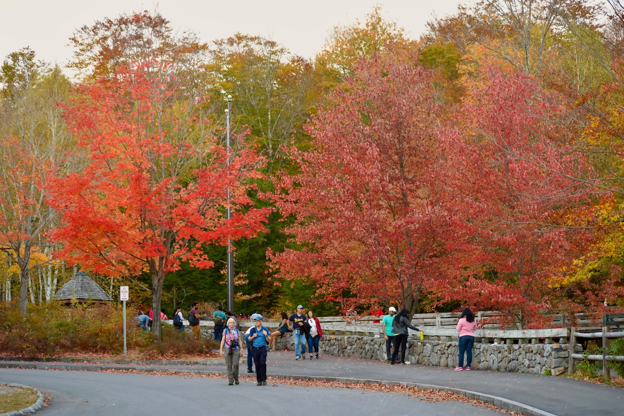 Colorful fall foliage across New Hampshire in October, with plenty of events in New Hampshire this weekend to enjoy.