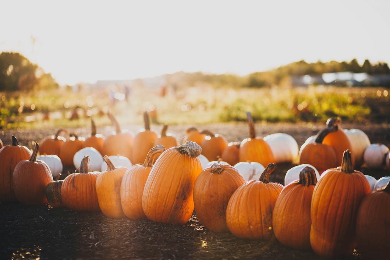 New Hampshire events this weekend, Oct. 2-4