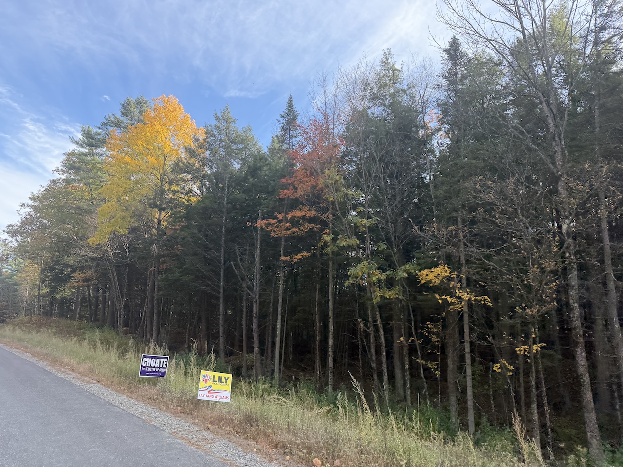 Political signs in New Hampshire lining a roadside ahead of the November 2026 election.