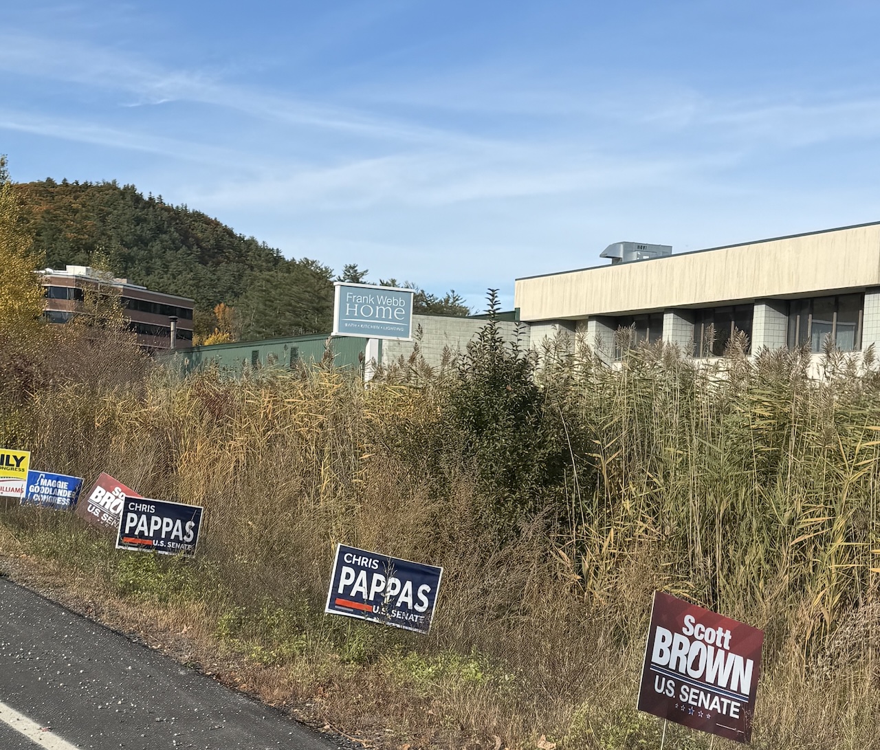Political campaign signs displayed along a New Hampshire road ahead of Election Day.