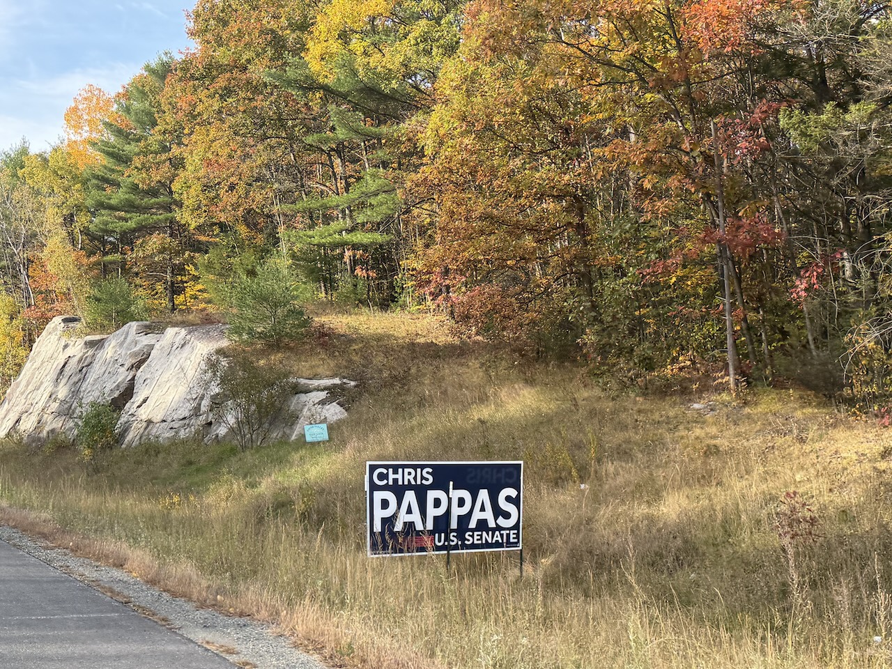 Political signs in New Hampshire displayed along a roadside ahead of the 2026 midterm election.
