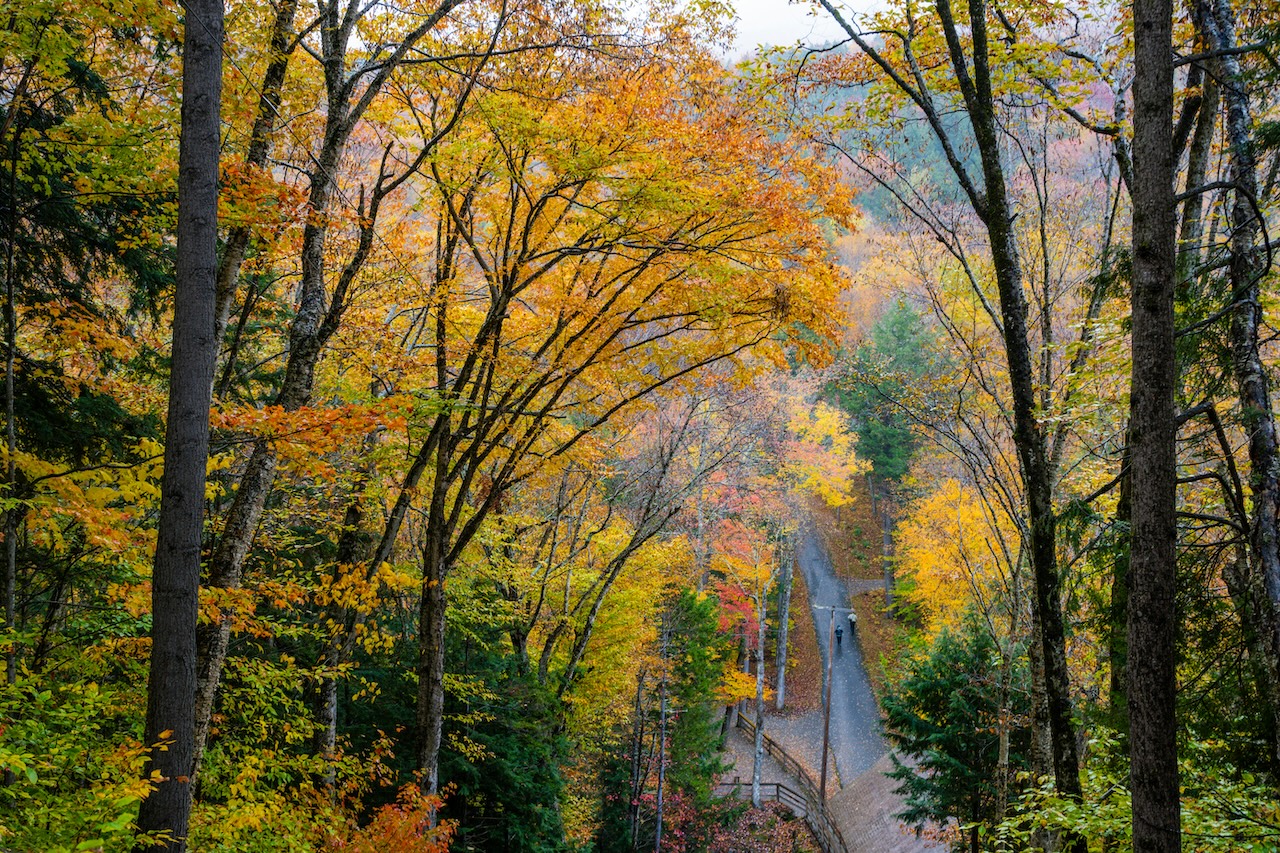 Shopping and creative activities among the fun things to do in New Hampshire in October.