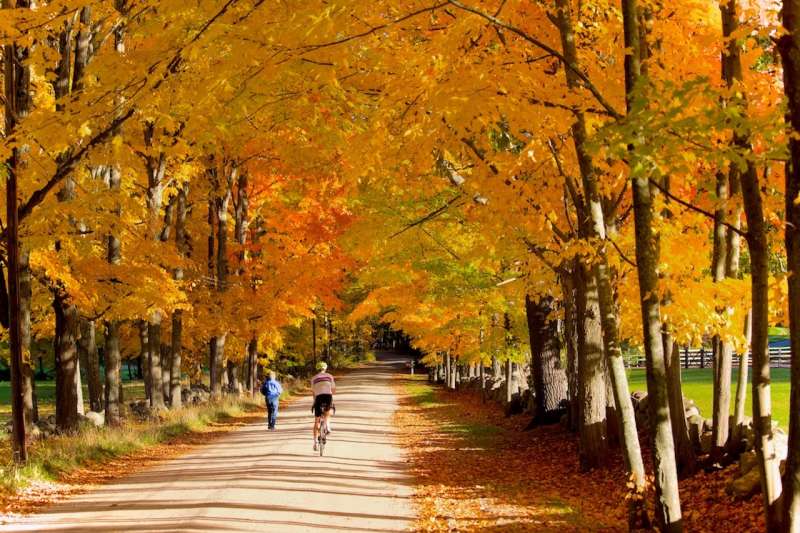 Colorful fall foliage highlighting things to do in New Hampshire in October.